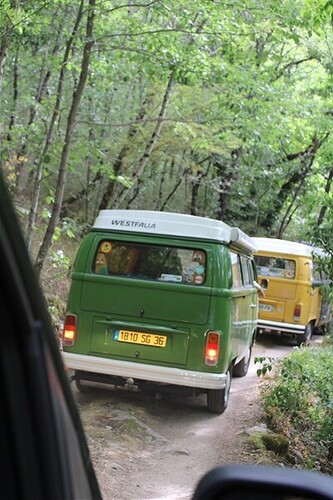 IMG_3761_GF