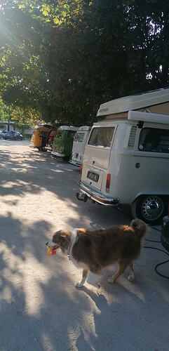 IMG_20260710_190014