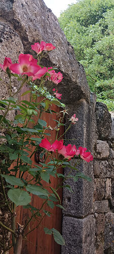 IMG_20260712_175907