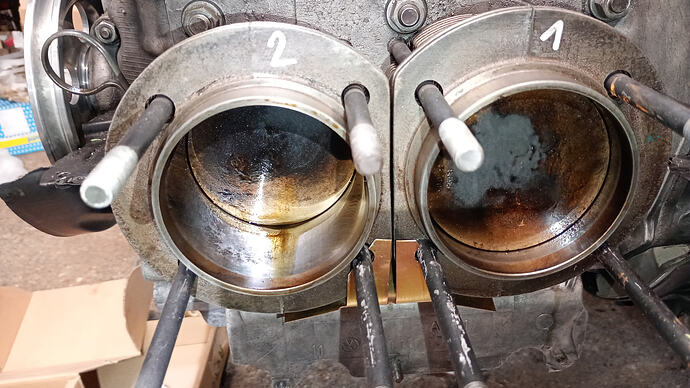 IMG_20260108_191253541_MFNR