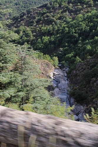 IMG_3966_GF