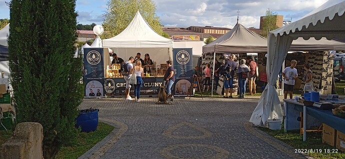IMG_20220819_182242_1
