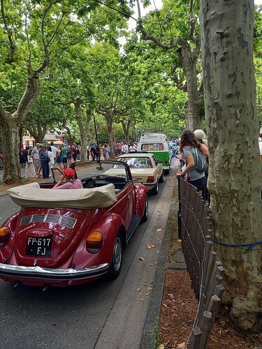 FB_IMG_1753041803159