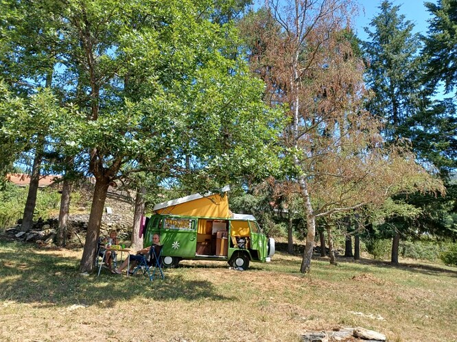 image0000011(2)