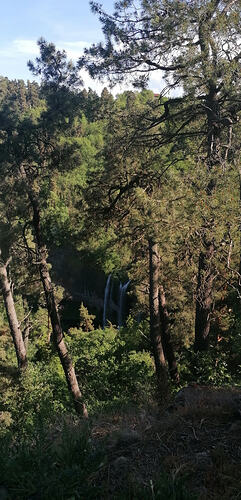 IMG_20260523_175110