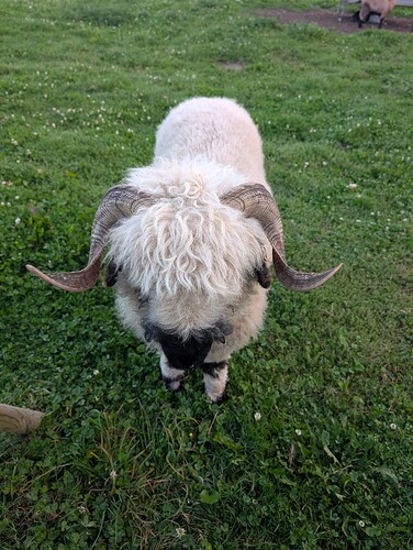 PXL_20250917_062423240