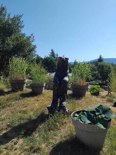 IMG_20260712_100831