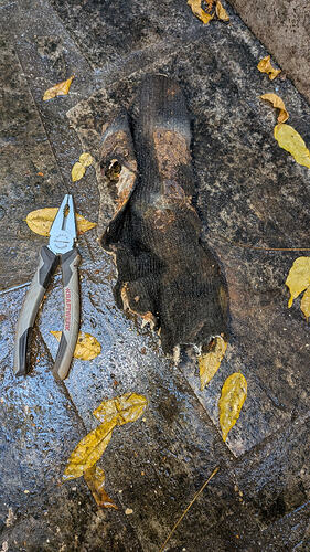 PXL_20251106_135010897