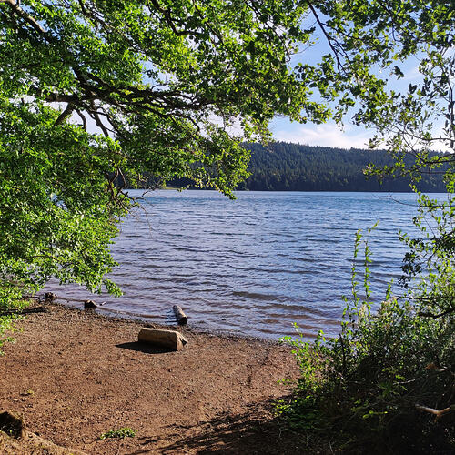 583420200_1284813943683982_13142412989339557812_n