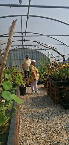 IMG_20260712_102758