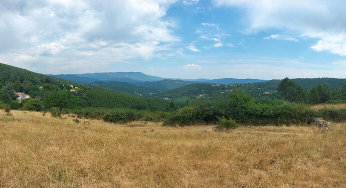 IMG20260711105449