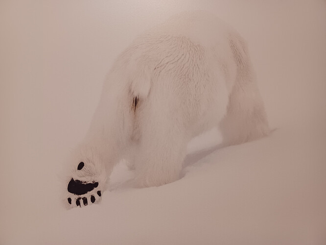 20240519_111129