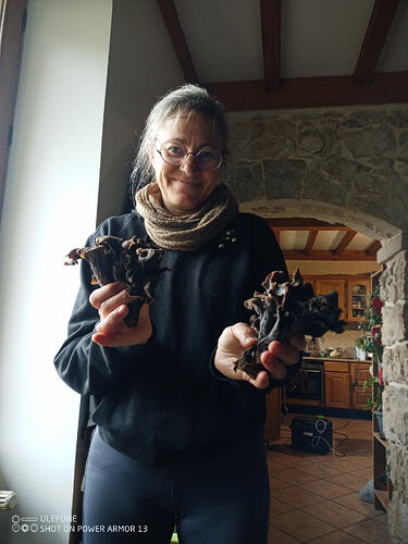 IMG_20251101_134338_533