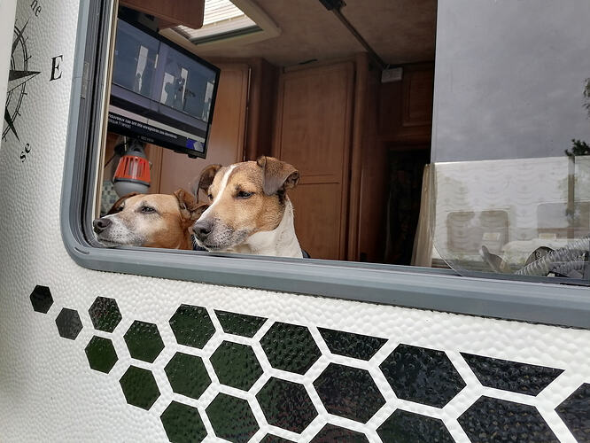 336363666_599646822186515_5029053700334667441_n