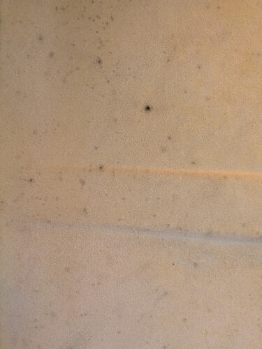 PXL_20260810_090502102