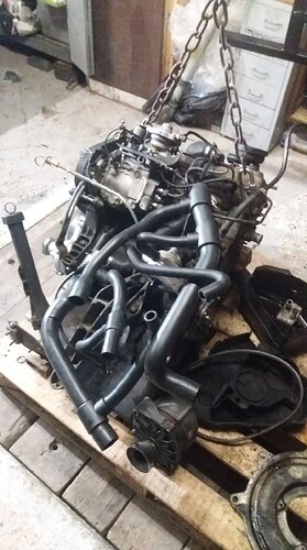 FB_IMG_1755335012863