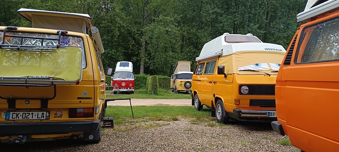IMG_20250607_084835