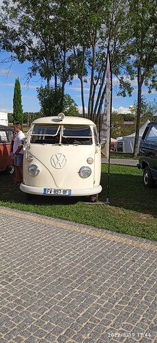 IMG_20220819_174402_1