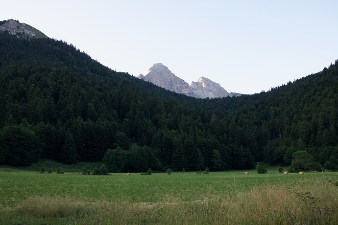 _A9A8601